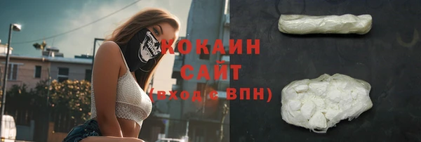 ешки Вяземский