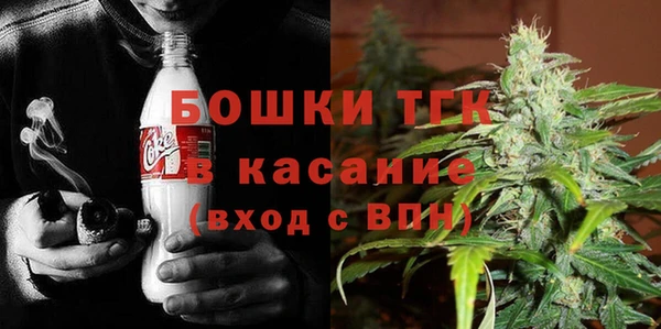 ешки Вяземский