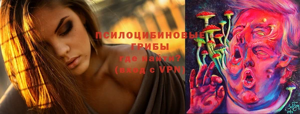 ешки Вяземский
