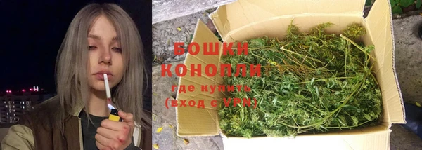 ешки Вяземский