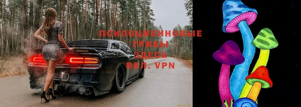 apvp Вязники