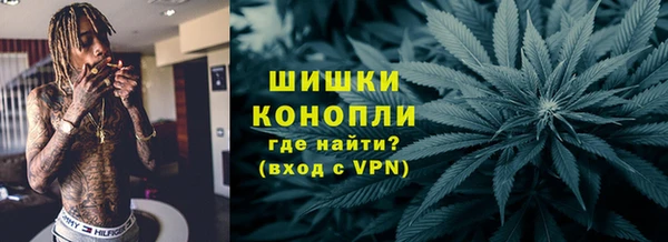 ешки Вяземский